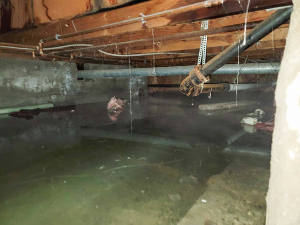 Best Water damage cleanup near me  in Blacksburg, VA