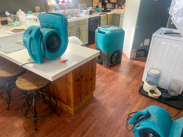 Best Water damage contractors near me  in Blacksburg, VA