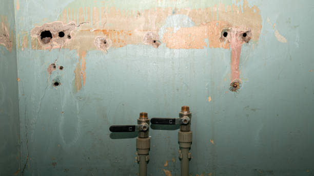 Best Basement water damage restoration  in Blacksburg, VA