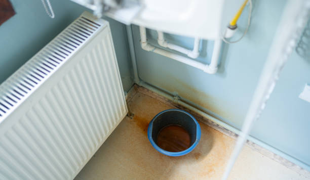 Best Flood damage cleanup  in Blacksburg, VA