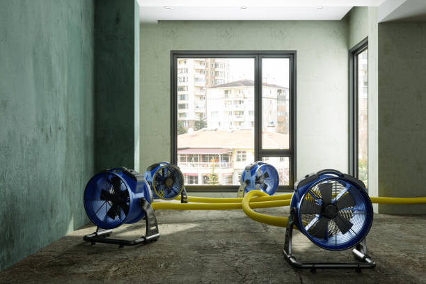 Best Local water damage restoration  in Blacksburg, VA