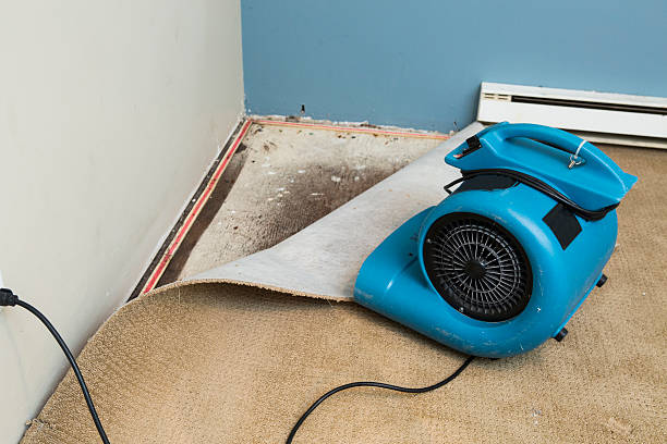 Best Commercial water damage restoration  in Blacksburg, VA